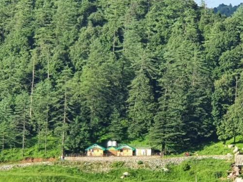 Lodge Bluepine Cottages Pangot