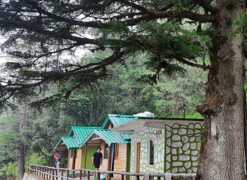 Lodge Bluepine Cottages Pangot