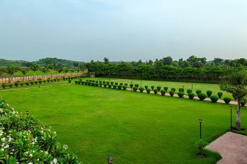 Hotel Raj Mahal The Palace