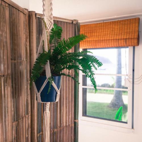 Blue Moon Beach Hut