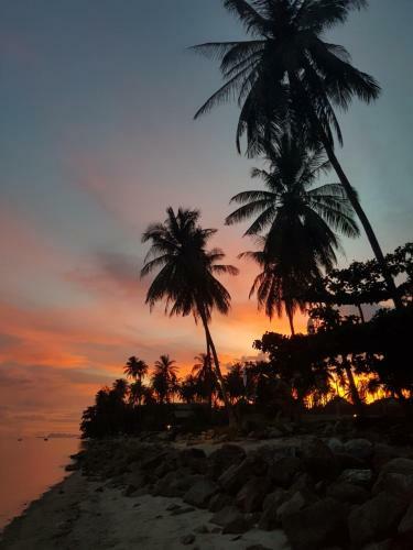 Hostal Islandlife Bungalows