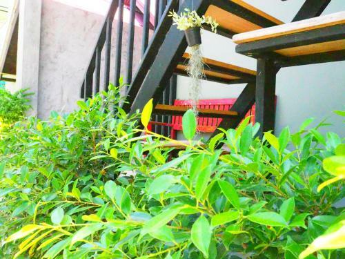 Hostal Lotto House
