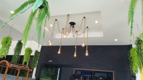 Hostal I-talay Garden