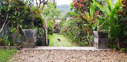 Baan Hinlad Home And Hostel