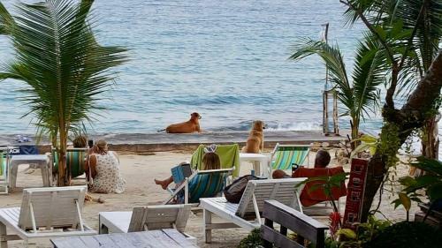 Hotel Viking Holidays Resort