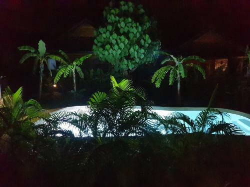 Samui Blue Bird