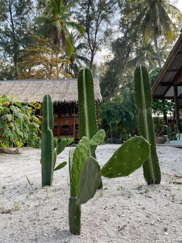 Hotel The Hideaway, Koh Lipe