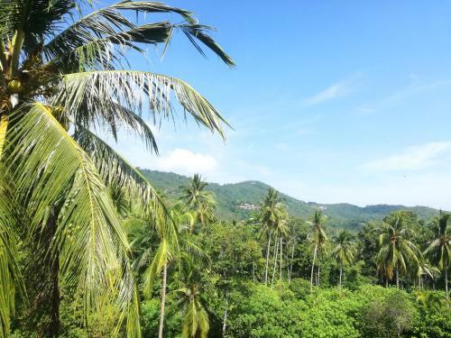 Koh Samui Palm View Villa