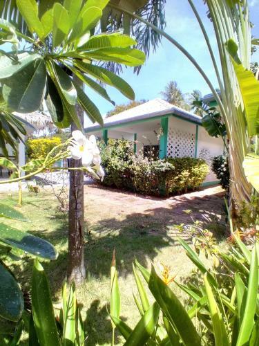 Hotel Sunya Cottage