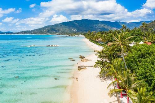 Apartamento Lagoon Beach Pool Penthouse I Beach - Pool - Freedom & Service