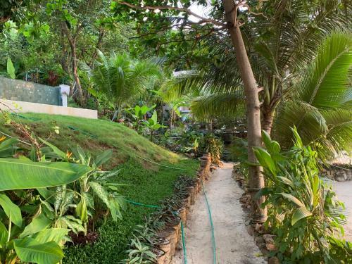 Agroturismo Coconut Beach Bungalows