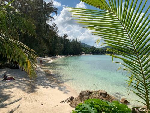 Agroturismo Coconut Beach Bungalows