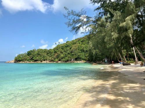 Agroturismo Coconut Beach Bungalows