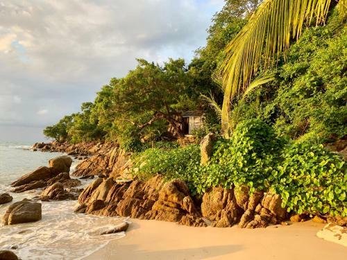 Agroturismo Coconut Beach Bungalows