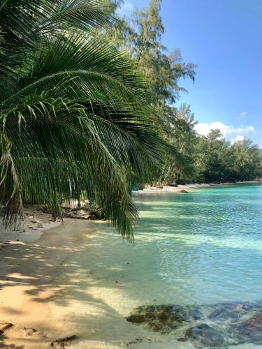 Agroturismo Coconut Beach Bungalows