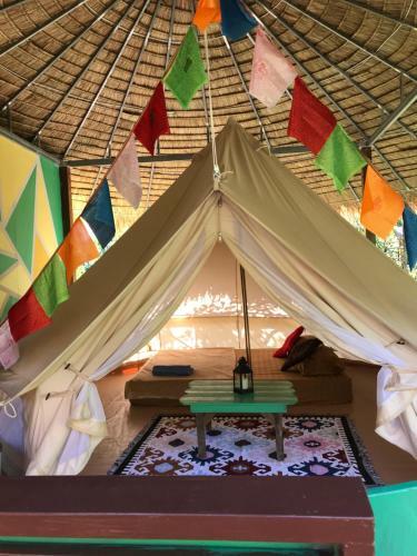 Hippy Hut Glamping Belltent