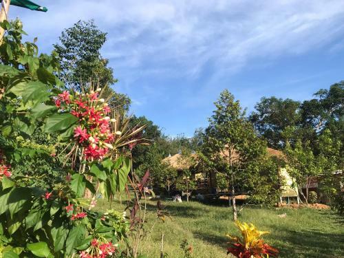 Hippy Hut Glamping Belltent