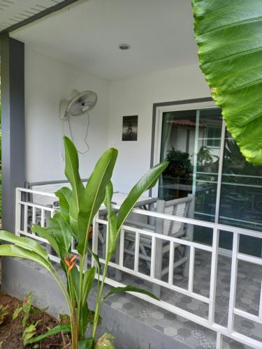 Agroturismo Sweet Home Phangan.