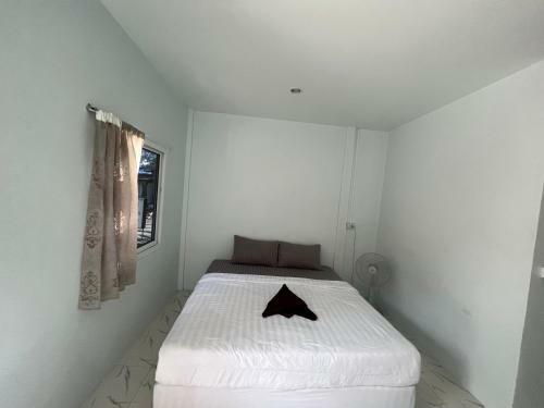 Phangan Dream Box