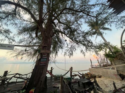Phangan Dream Box