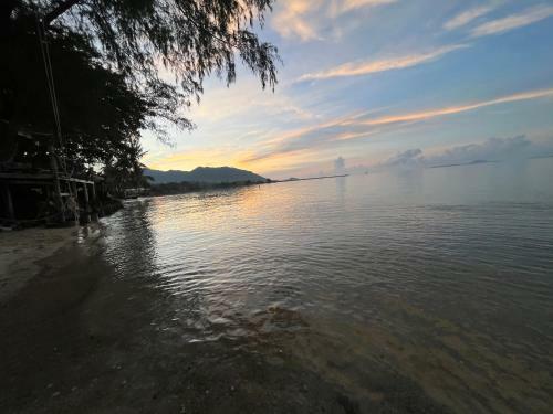 Phangan Dream Box