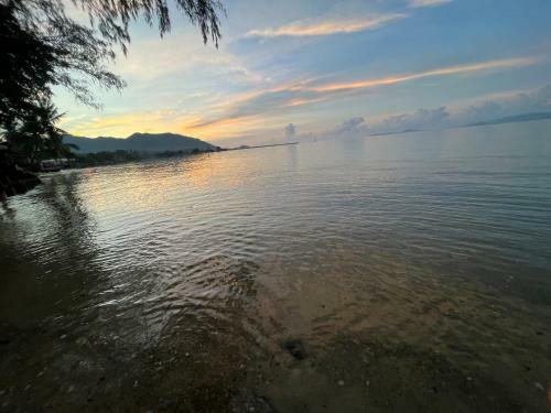 Phangan Dream Box