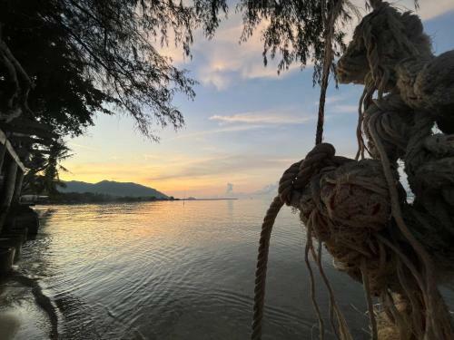 Phangan Dream Box