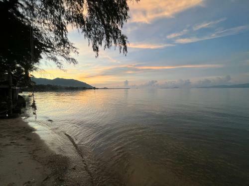 Phangan Dream Box