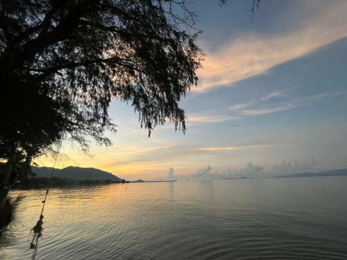 Phangan Dream Box