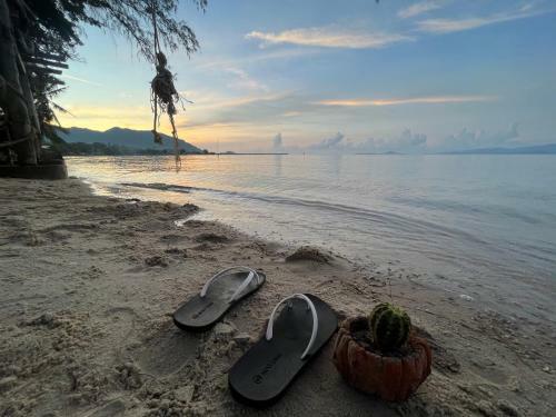 Phangan Dream Box
