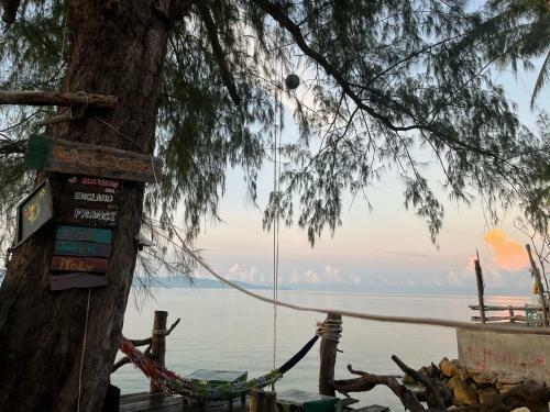 Phangan Dream Box