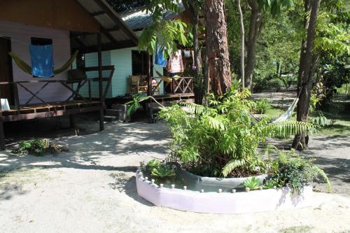 Hostal Phangan Island