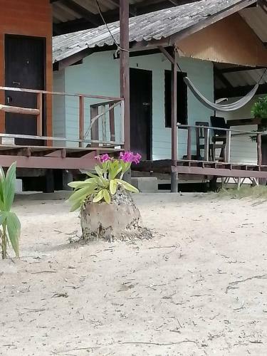 Hostal Phangan Island