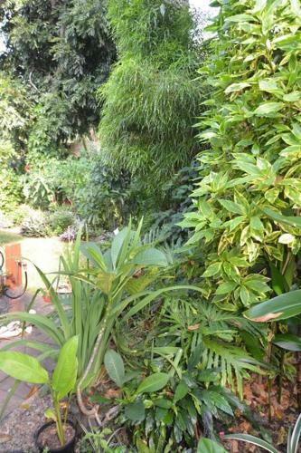 Balinese Villa