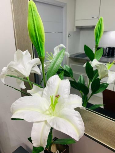 Apartamento Good Deal!! Siam Tropical