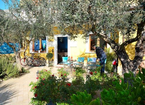 B&B Mariposa