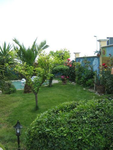 B&B Mariposa