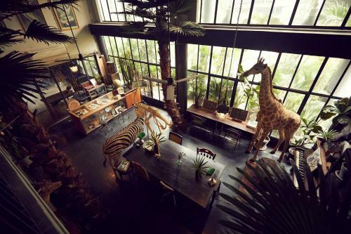 Bed & Breakfast The Mustang Nero Hotel