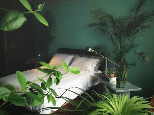 Bed & Breakfast The Mustang Nero Hotel