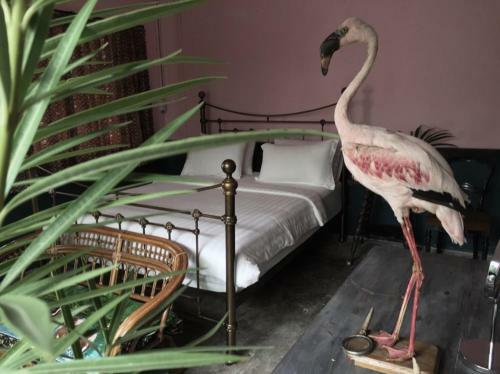 Bed & Breakfast The Mustang Nero Hotel