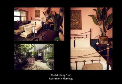 Bed & Breakfast The Mustang Nero Hotel