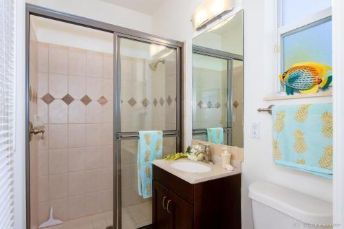 Cape Coral Villa Toucan Villa