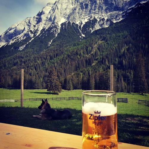Apartamento Schickster Mountain Lodge