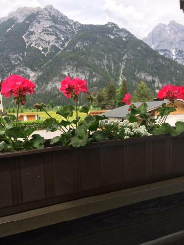 Apartamento Appartementhaus Dr. Vetter