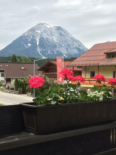 Apartamento Appartementhaus Dr. Vetter