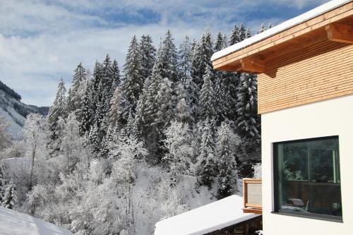 Apartamento Appartements Moser