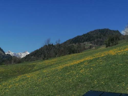 Apartamento Leitingerhof