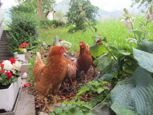Agroturismo Klampererhof