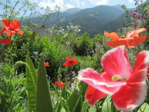 Agroturismo Klampererhof