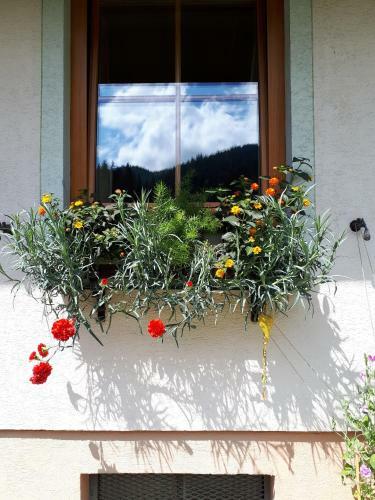 Apartamento Ferienhaus Neureiter